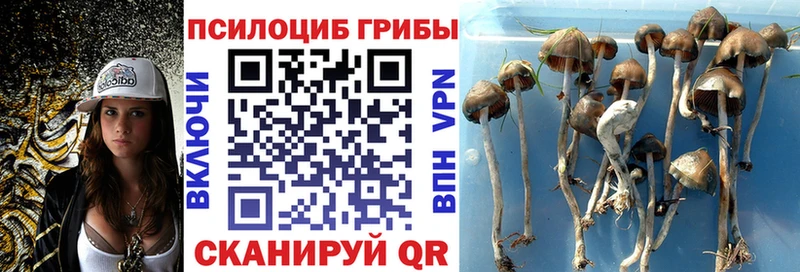 KRAKEN как войти  наркота  Алушта  Галлюциногенные грибы мицелий 