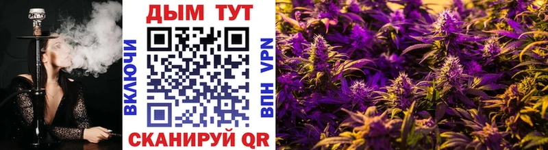 Конопля индика Алушта